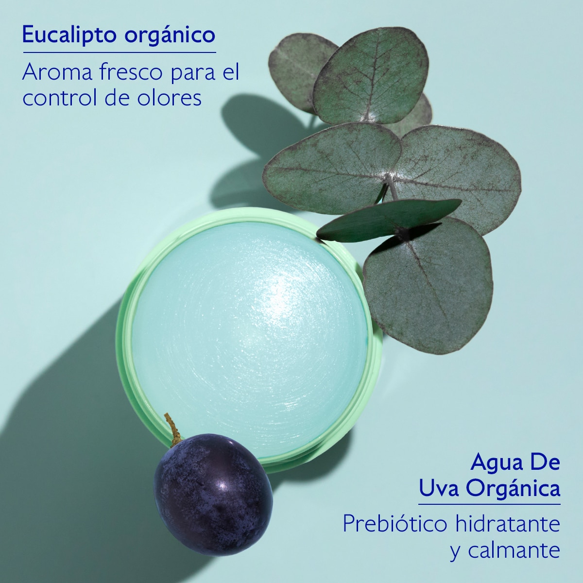 VINOFRESH DESODORANTE SIN ALUMINIO (DESODORANTE SIN ALUMINIO)